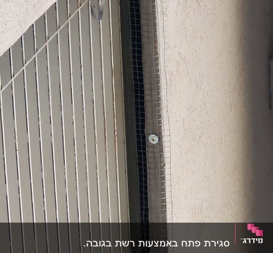 רשת מתכת מותקנת על חלון למניעת כניסת יונים
